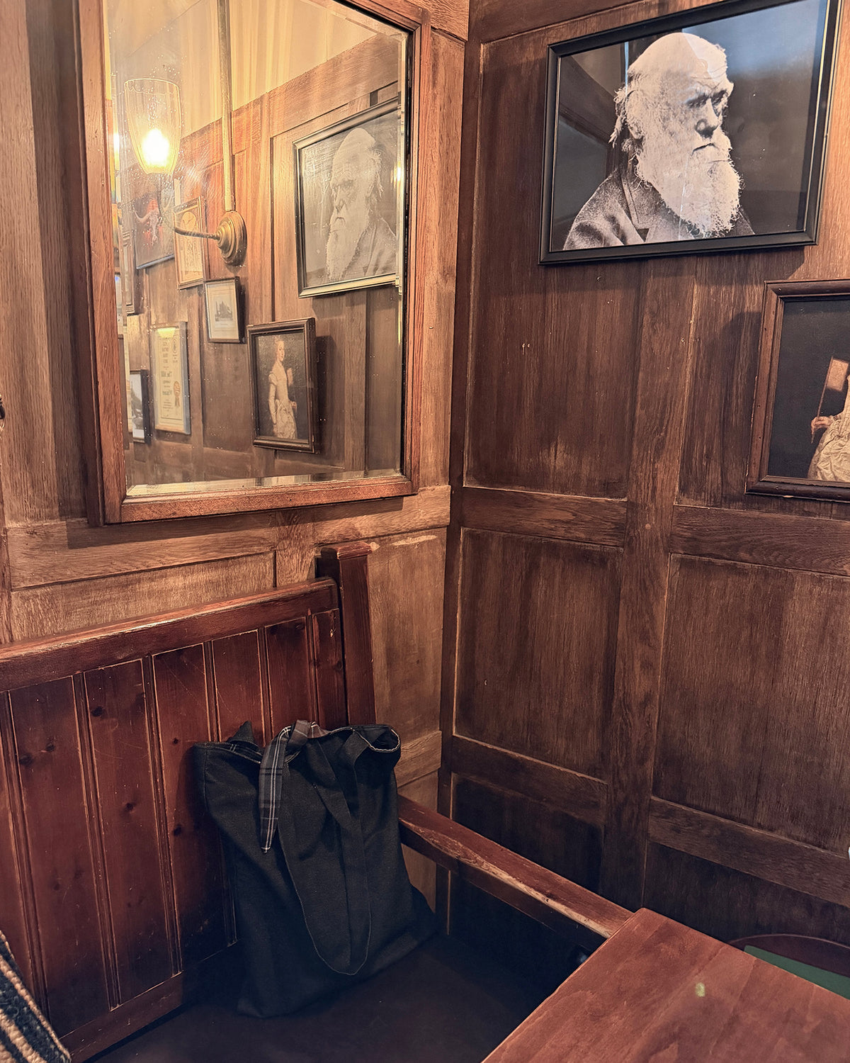 A dark wooden panel-walled room corner with framed black-and-white portraits of Darwin on the wall, a mirror reflecting interior details, and a black tote bag resting on a bench. Dark Academia aesthetic.